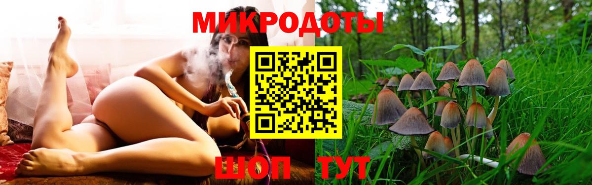 Галлюциногенные грибы Psilocybine cubensis  Вход с VPN  наркошоп  Саратов 